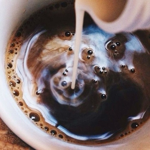 Meet your Posher, Lotus - Picture 2 of 5